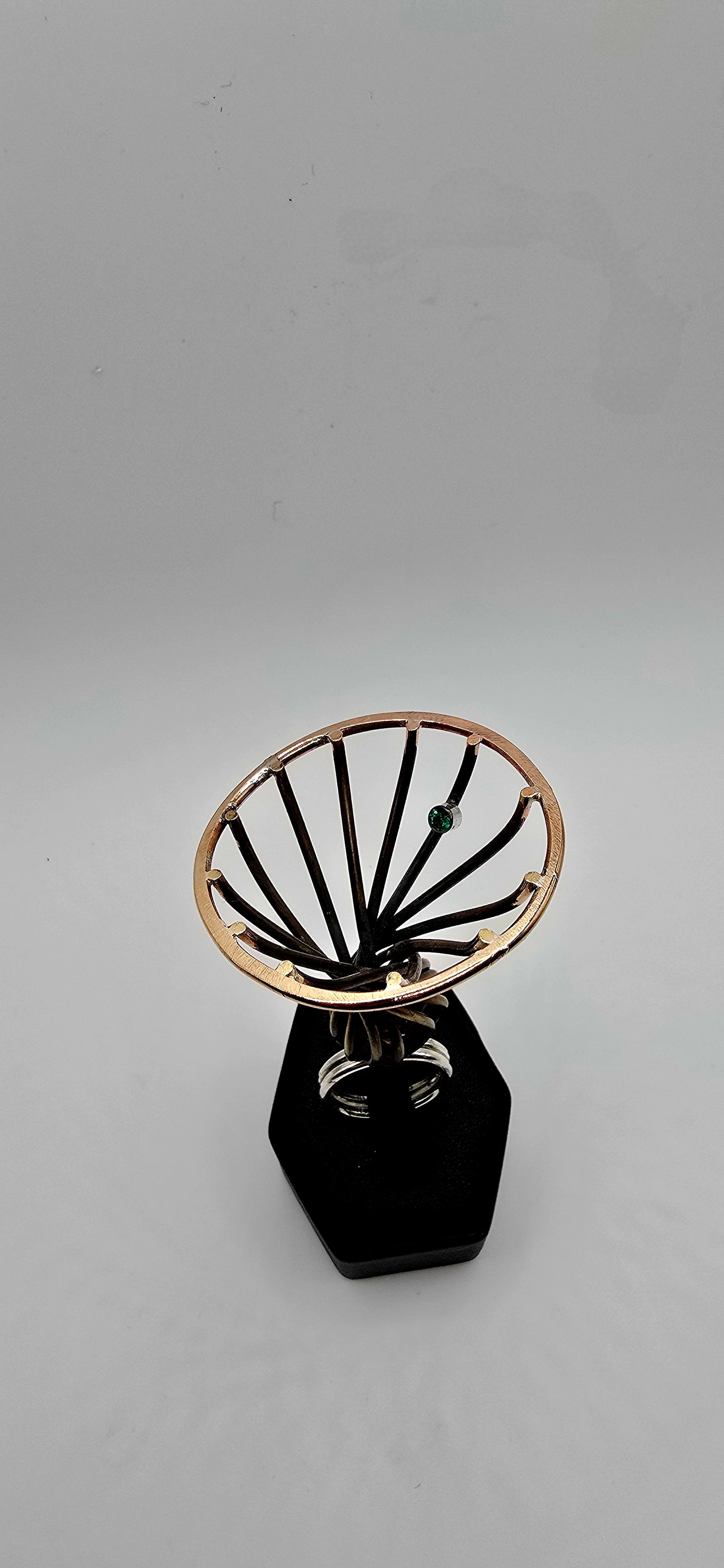 Vortex Ring